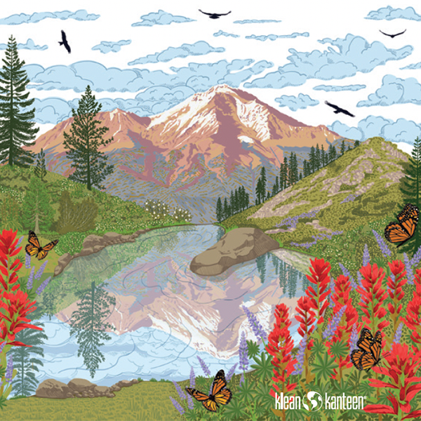 20oz TKWide with Twist Cap – Heart Lake - KleanKannteen